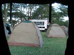 14487 Our campsite early in the morning.jpg